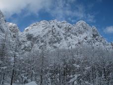 Klik za večjo sliko